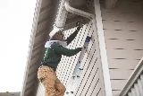 Campbell Natural Pest Control photo 7