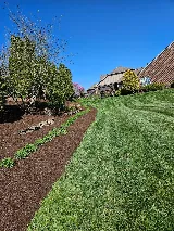 Jf Landscaping photo 3
