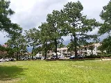 Tidewater Landscape Management Inc photo 4