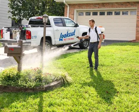 Lookout Pest Control in Charleston