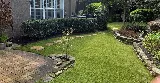Orlando Evergreen Lawn & Landscaping photo 5