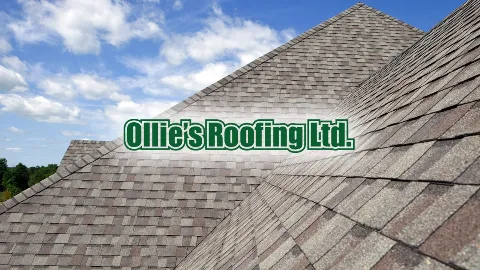 Ollie's Roofing Ltd. in Milton