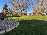 Trimline Landscape Management photo 4