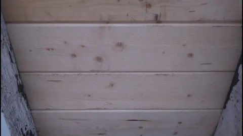 Equality Termite Control in San Bernardino