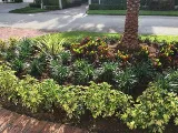 Be Green Landscape Contractors