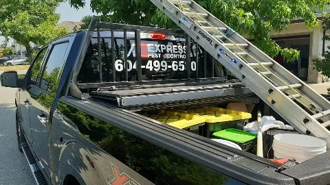 Express Pest Canada - Pitt Meadows / Maple Ridge photo 1