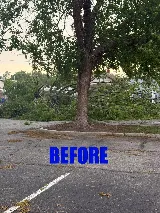 Snipes Lawn & Landscaping photo 5