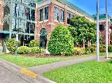 Genesis Lawn Care & Landscaping LLC photo 6