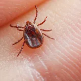 Rest Easy Pest Control photo 7