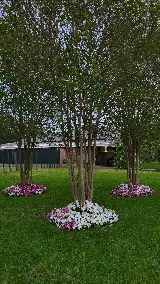 Exterior Designs, Inc. photo 3