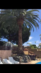 Greatland Landscape, Inc. photo 3