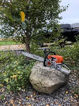 Limber Environmental Ltd.