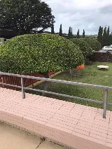 Cheapest Yard Service
