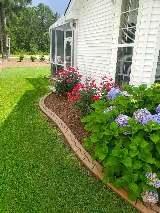 Topnotch Landscaping photo 5