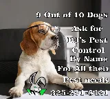 DJ's Pest Control photo 3