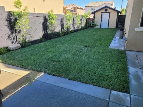 A&M landscaping photo 1