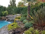 Van De Poll Garden Design photo 2