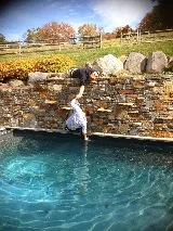 Clearwater Pool & Spa photo 6