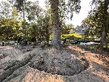 Elite Landscape, LLC photo 8