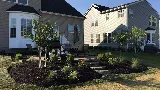 Total Lawn & Landscape