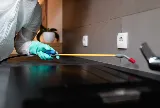 Wow Pest Control photo 10