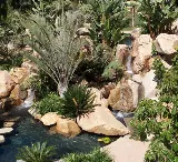 Earthcare Pools photo 6