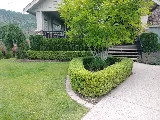 VitaNova Landscape Ltd. photo 6