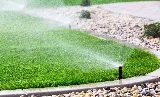 MANN Irrigation & Landscaping Co. photo 8
