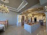 ONYX Electric photo 6