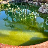 Prime Pool Service photo 6