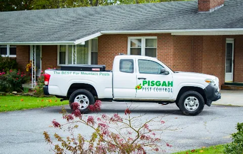 Pisgah Pest Control, Inc - Asheville photo 1