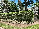 United landscaping cleaning management services photo 5
