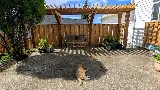 Dream Team Landscaping photo 5