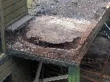 All Green Pest Control photo 7