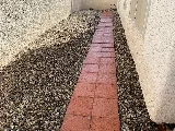 Pest Pros Las Vegas photo 7