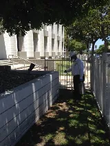 Dewey Pest & Termite Control