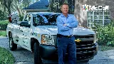 McCall Pest & Wildlife - Tampa