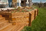 Park Landscaping photo 3
