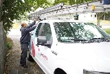 Modern Pest Services photo 7