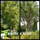 Ascent Yard Care photo 5