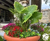 Blue Sparrow Lawn and Landscape, LLC photo 5