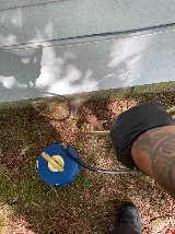 Proforce Pest Control - Virginia Beach photo 4