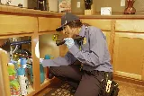 Truly Nolen Pest & Termite Control photo 5