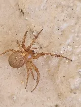 Get'm Pest Control & Exterminator In Jersey City photo 4