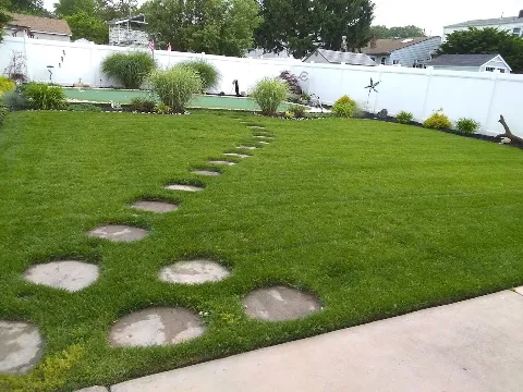 HonMex Landscaping photo 1