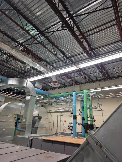 Lucas Electrical photo 1
