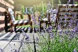 Harkness Gardens Landscaping photo 8