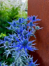 GardenLandscapes photo 8