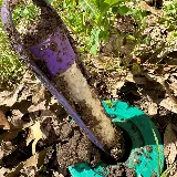 Forterra Pest Control photo 7