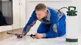 Bentson Pest Management Inc